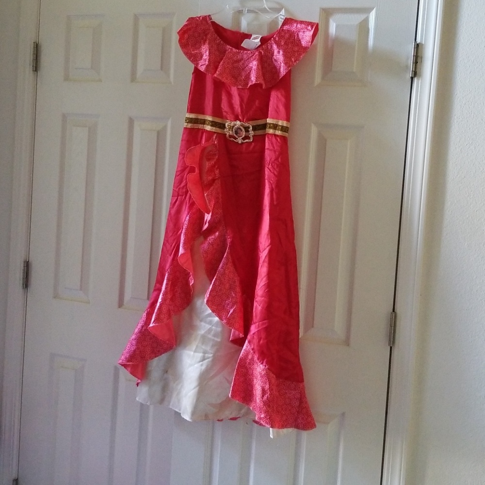 Disney's Elena of Avalor costume